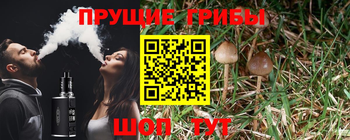 Галлюциногенные грибы прущие грибы  Вход с VPN  купить  сайты  Киржач 